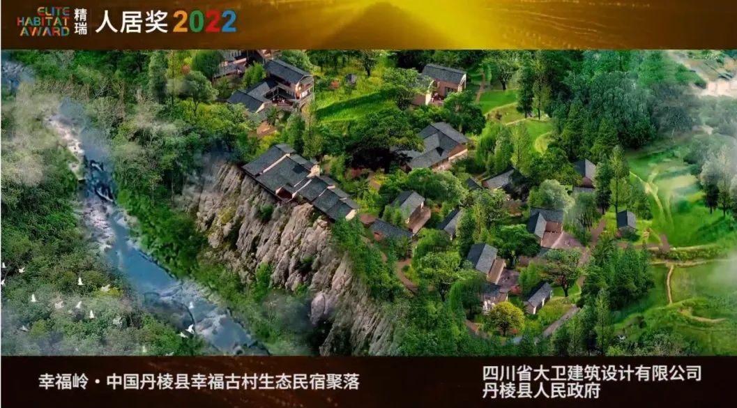 DT����(�й�)���Ź���